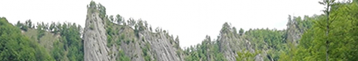 Lotru Mountain Run 2022 - Brezoi